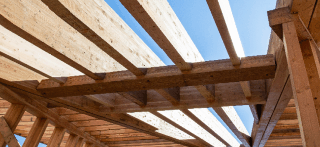 Mass Timber High-Rises Take Root in Europe