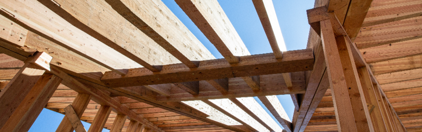 Mass Timber High-Rises Take Root in Europe