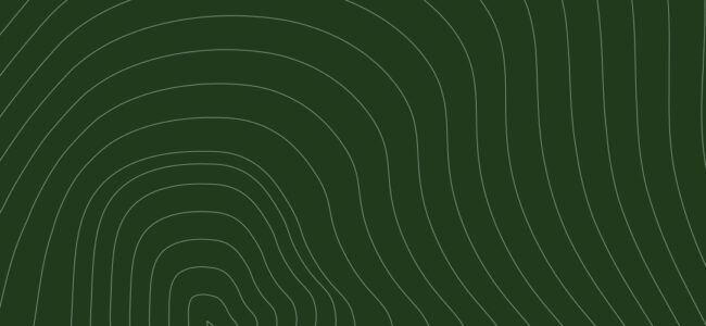 The Mass Timber AMM Guide