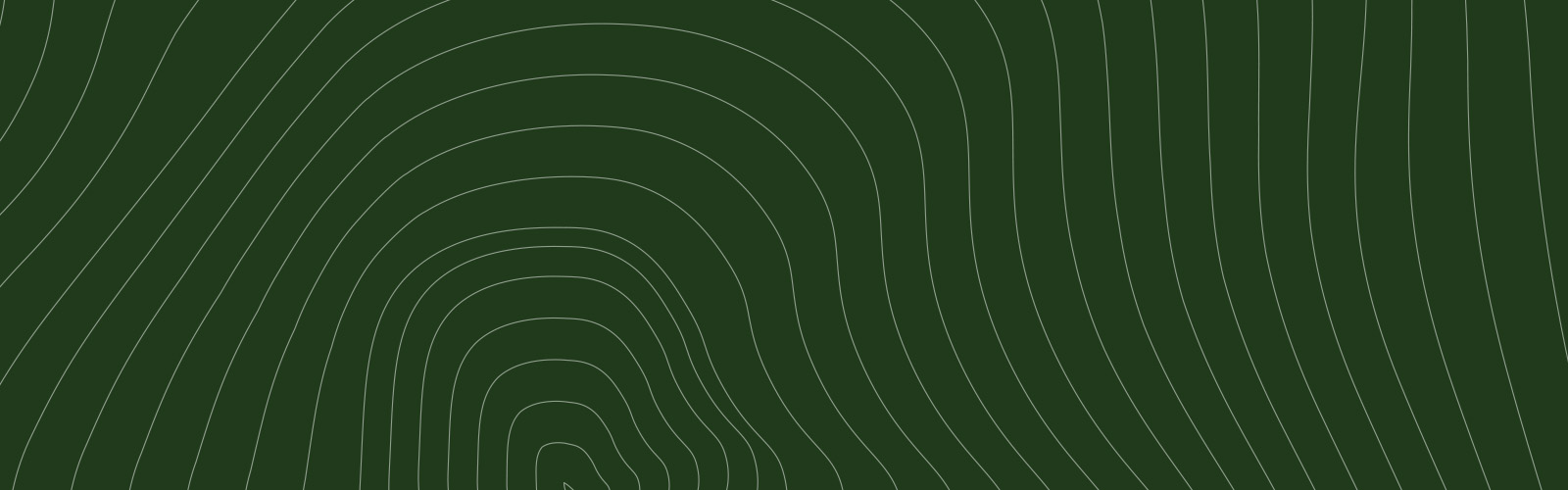 The Mass Timber AMM Guide