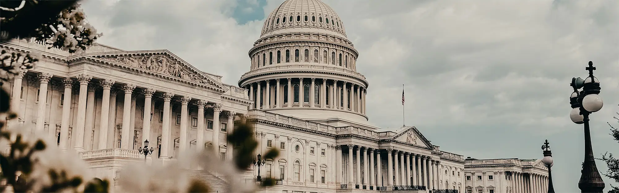 What Federal Support Could Mean for the Future of Timber Construction